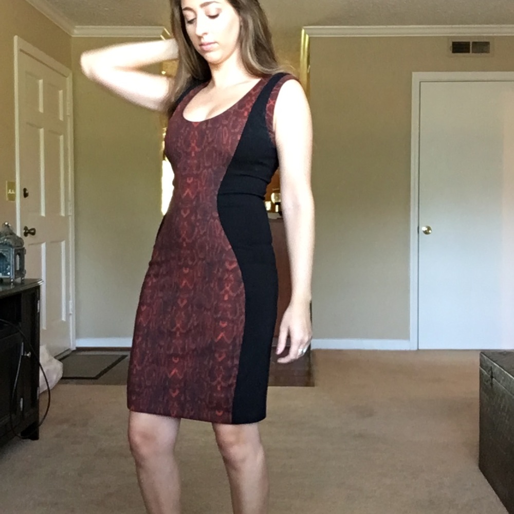Mango python print sheath dress - Picture 5 of 5